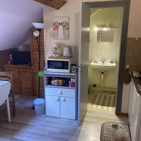 Centre Dore, Voliere Des Pics 2pers15m2 Parking Gratuit Chemin Randonnee * Mont-Dore