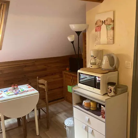 Апартаменты Centre Dore, Voliere Des Pics 2pers15m2 Parking Gratuit Chemin Randonnee *