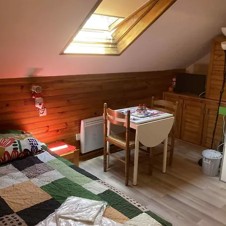 Апартаменты Centre Dore, Voliere Des Pics 2pers15m2 Parking Gratuit Chemin Randonnee *