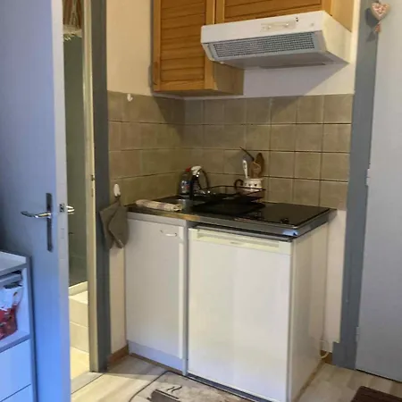 Centre Dore, Voliere Des Pics 2pers15m2 Parking Gratuit Chemin Randonnee Apartament